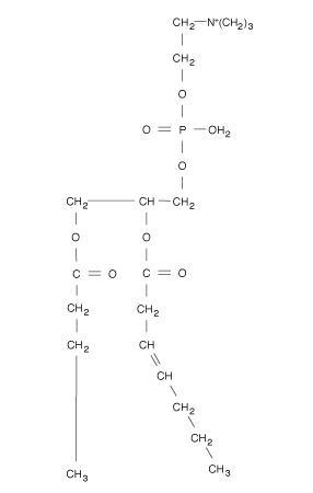 Imagen:Fosfolipido estructura quimica.gif